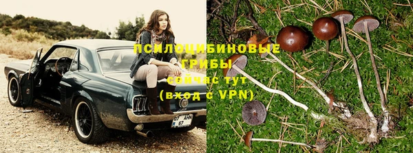 дурь Россошь