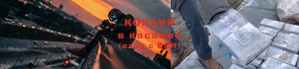 гашик Балахна
