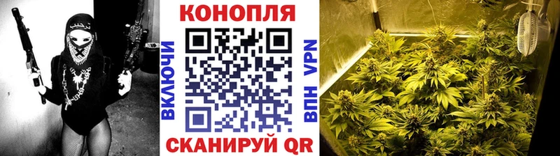 Конопля White Widow  где продают наркотики  Чехов 